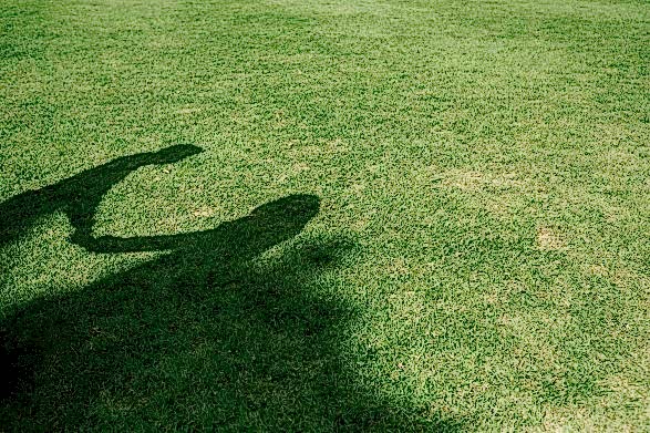 Shadow on lawn of someone giving lawn care tips for Perth Gardens