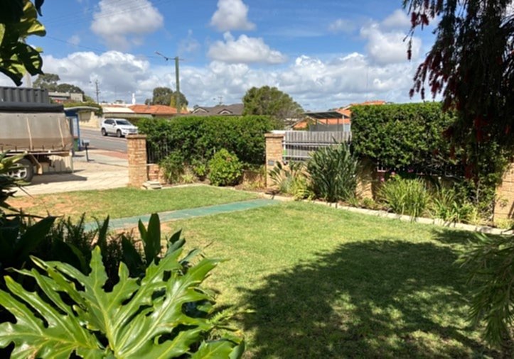 Image of neat lawn demonstrating best methods for weeding lawns