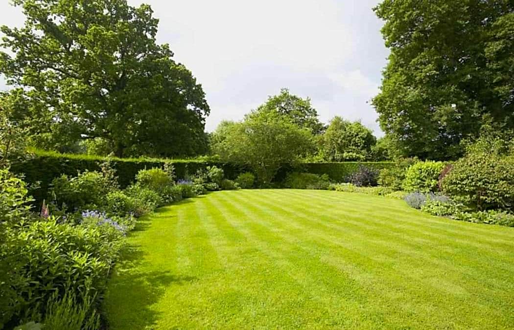 Tips for Growing a Green Lawn