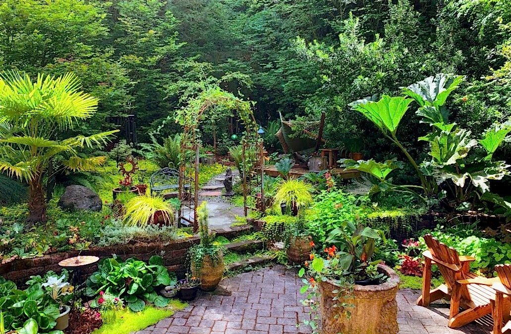 backyard garden featuring potted plants and a patio.
